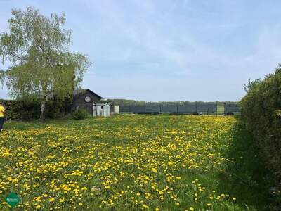 Haus kaufen in 2486 Pottendorf