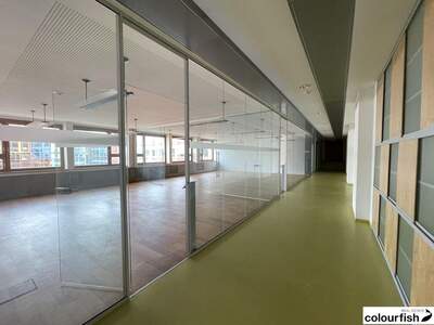 Gewerbeobjekt mieten in 1010 Wien (Bild 5)