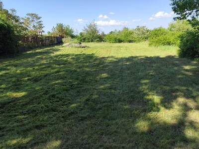 Grundstück kaufen (Bild 3)