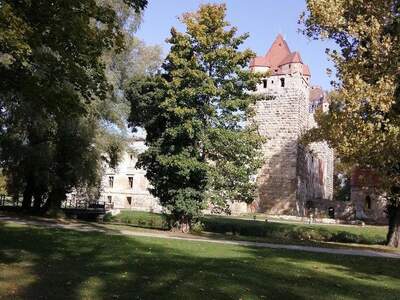 Terrassenwohnung mieten in 2486 Pottendorf (Bild 1)