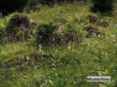 Grundstück kaufen in 8200 Gleisdorf