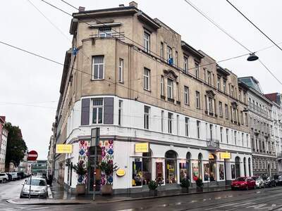 Altbauwohnung kaufen in 1190 Wien (Bild 2)