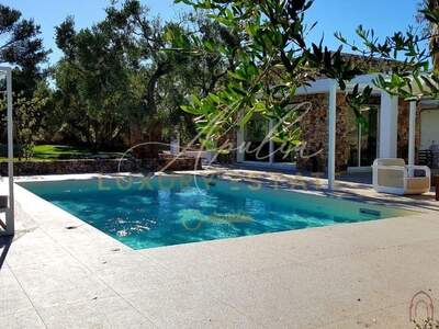 Haus mit Garten kaufen in 73040 Capo Santa Maria di Leuca (Bild 2)