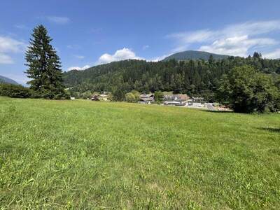 Grundstück kaufen in 9542 Afritz (Bild 1)