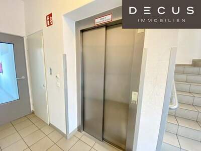 Terrassenwohnung mieten in 1100 Wien (Bild 5)