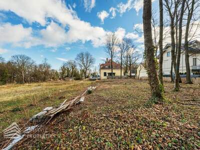 Grundstück kaufen in 1190 Wien