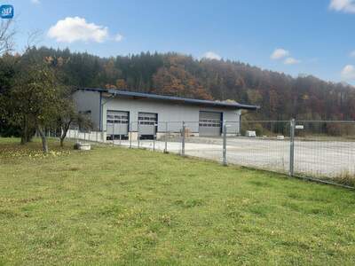 Gewerbeobjekt kaufen in 4974 Ort