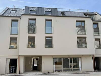 Anlageobjekt kaufen in 1230 Wien