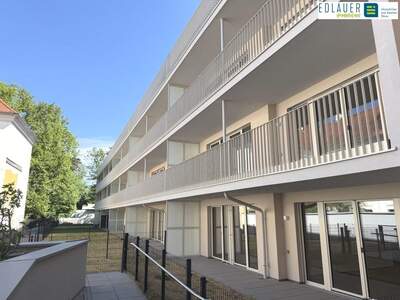 Terrassenwohnung mieten in 2483 Ebreichsdorf (Bild 2)