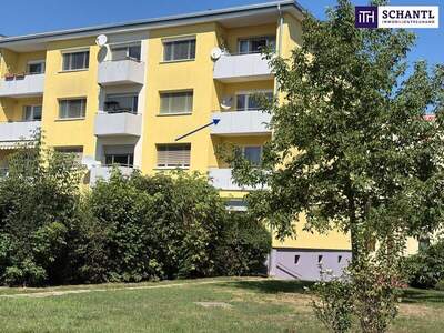 Terrassenwohnung kaufen in 8052 Graz (Bild 1)