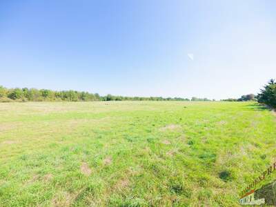 Einfamilienhaus kaufen in 2320 Schwechat (Bild 5)