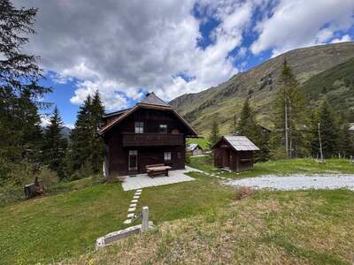 Anlageobjekt kaufen in 8953 Planneralm (Bild 3)