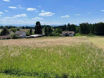 Grundstück kaufen in 8413 Sankt Georgen (Bild 5)