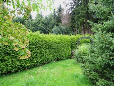 Haus mit Garten kaufen in 5020 Salzburg (Bild 2)