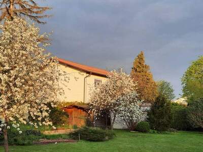 Haus kaufen in 4600 Wels (Bild 5)
