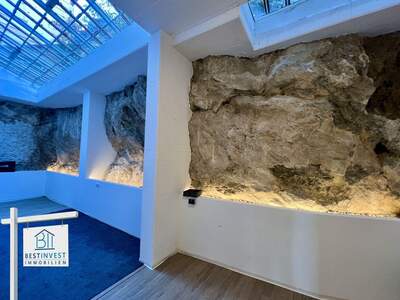 Altbauwohnung kaufen in 2500 Baden (Bild 1)