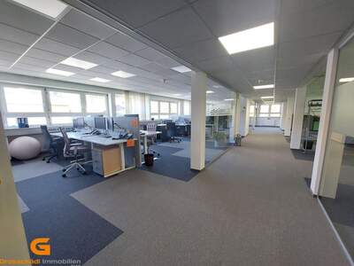 Gewerbeobjekt mieten in 5412 Puch (Bild 2)