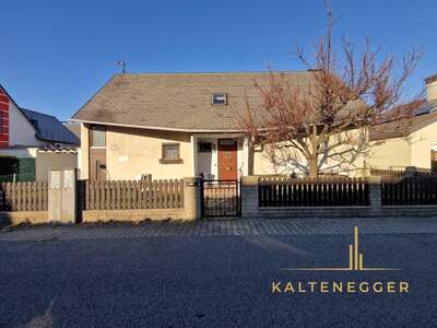 Haus kaufen in 1220 Wien