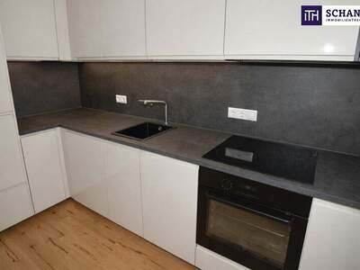 Terrassenwohnung kaufen in 1040 Wien (Bild 5)