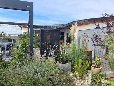 Haus mit Garten kaufen (Bild 4)