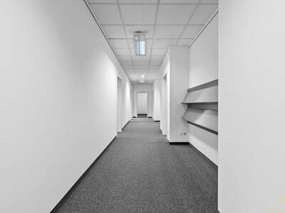 Gewerbeobjekt mieten in 1130 Wien (Bild 3)
