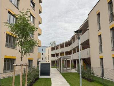 Wohnung mieten in 2700 Wiener Neustadt