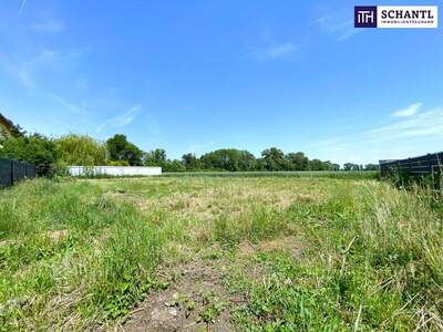 Grundstück kaufen in 2441 Mitterndorf (Bild 2)