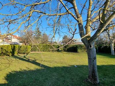 Grundstück kaufen in 1220 Wien