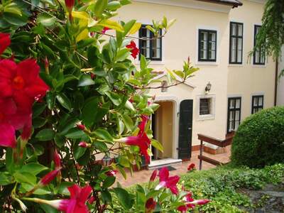 Gewerbeobjekt kaufen in 9400 Ödenburg (Bild 5)