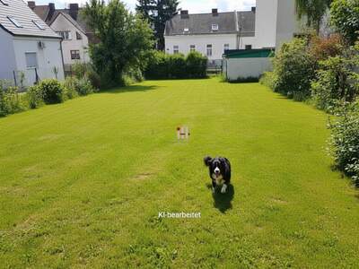 Grundstück kaufen in 1230 Wien