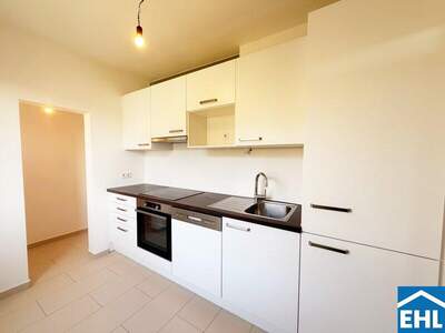 Terrassenwohnung mieten in 1030 Wien (Bild 3)