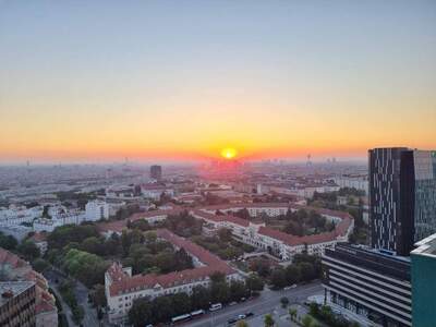 Wohnung provisionsfrei mieten in 1100 Wien