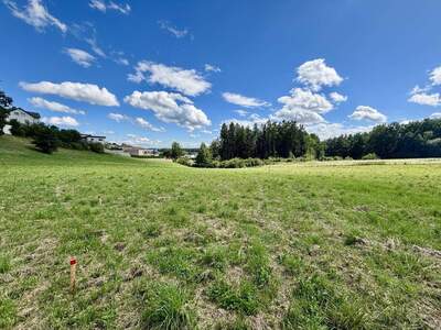 Grundstück kaufen in 4240 Freistadt