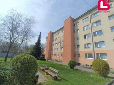 Wohnung mieten in 4053 Haid (Bild 1)
