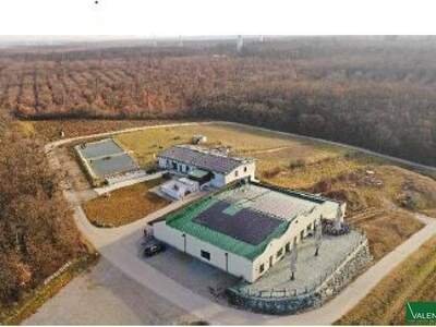 Gewerbeobjekt kaufen in 2221 Groß