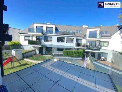 Terrassenwohnung kaufen in 1220 Wien (Bild 5)