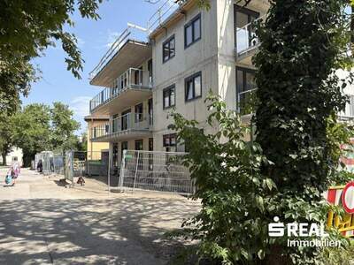 Terrassenwohnung kaufen in 6060 Hall (Bild 3)