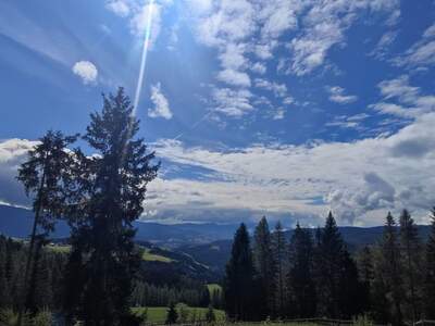 Haus mit Garten kaufen in 8742 Lavantegg (Bild 2)