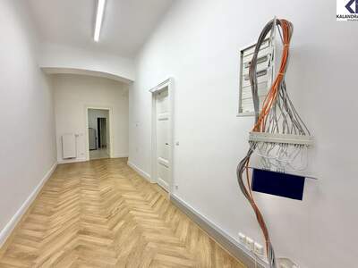 Gewerbeobjekt mieten in 1010 Wien (Bild 4)