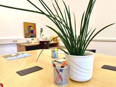 Gewerbeobjekt mieten in 2320 Schwechat (Bild 3)