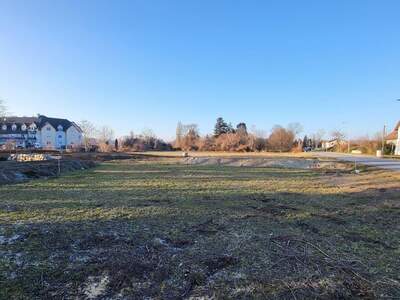 Grundstück kaufen in 3133 Traismauer