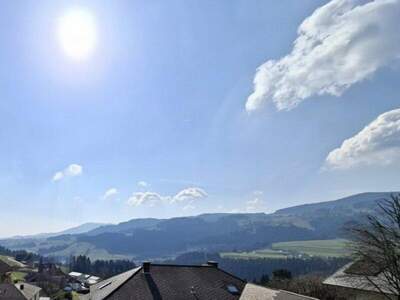 Einfamilienhaus kaufen in 8190 Birkfeld (Bild 4)