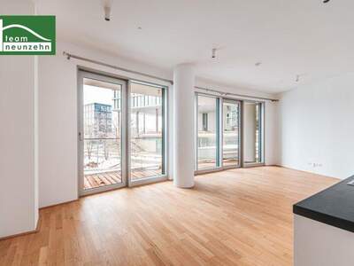 Terrassenwohnung mieten in 1100 Wien (Bild 1)