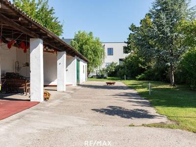 Anlageobjekt kaufen in 2472 Prellenkirchen (Bild 3)