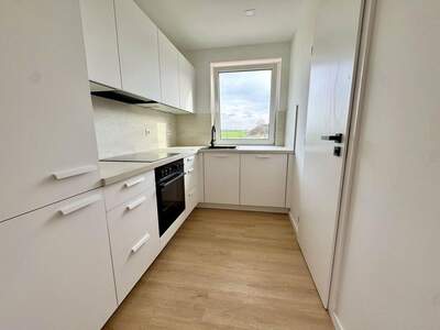 Haus mit Garten mieten in 2273 Hohenau (Bild 1)