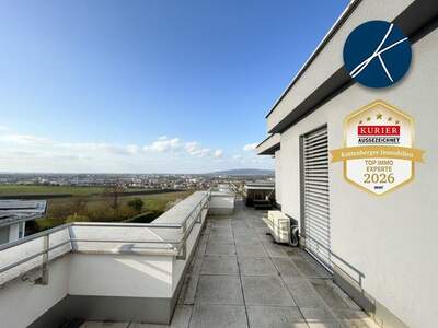 Terrassenwohnung mieten in 3500 Krems (Bild 4)