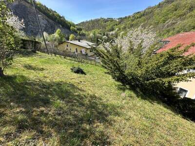 Haus kaufen in 7212 Forchtenstein (Bild 5)