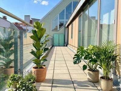 Wohnung mieten in 2500 Baden