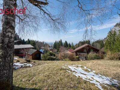 Grundstück kaufen in 6845 Hohenems