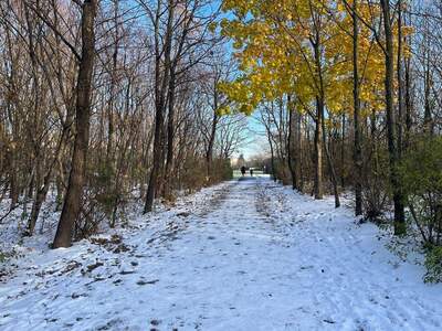 Haus mit Garten mieten in 1220 Wien (Bild 4)